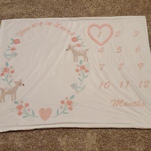 Monthly milestone blanket